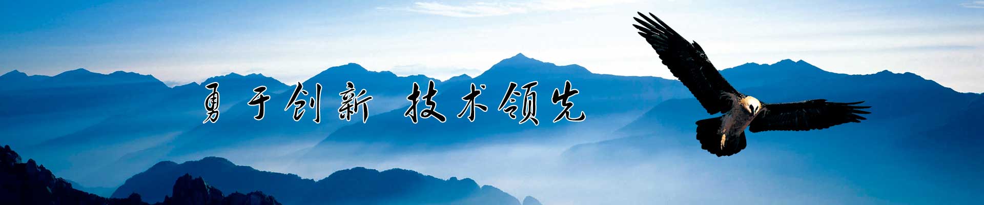 北京寶澤行寶馬5S店監控系統